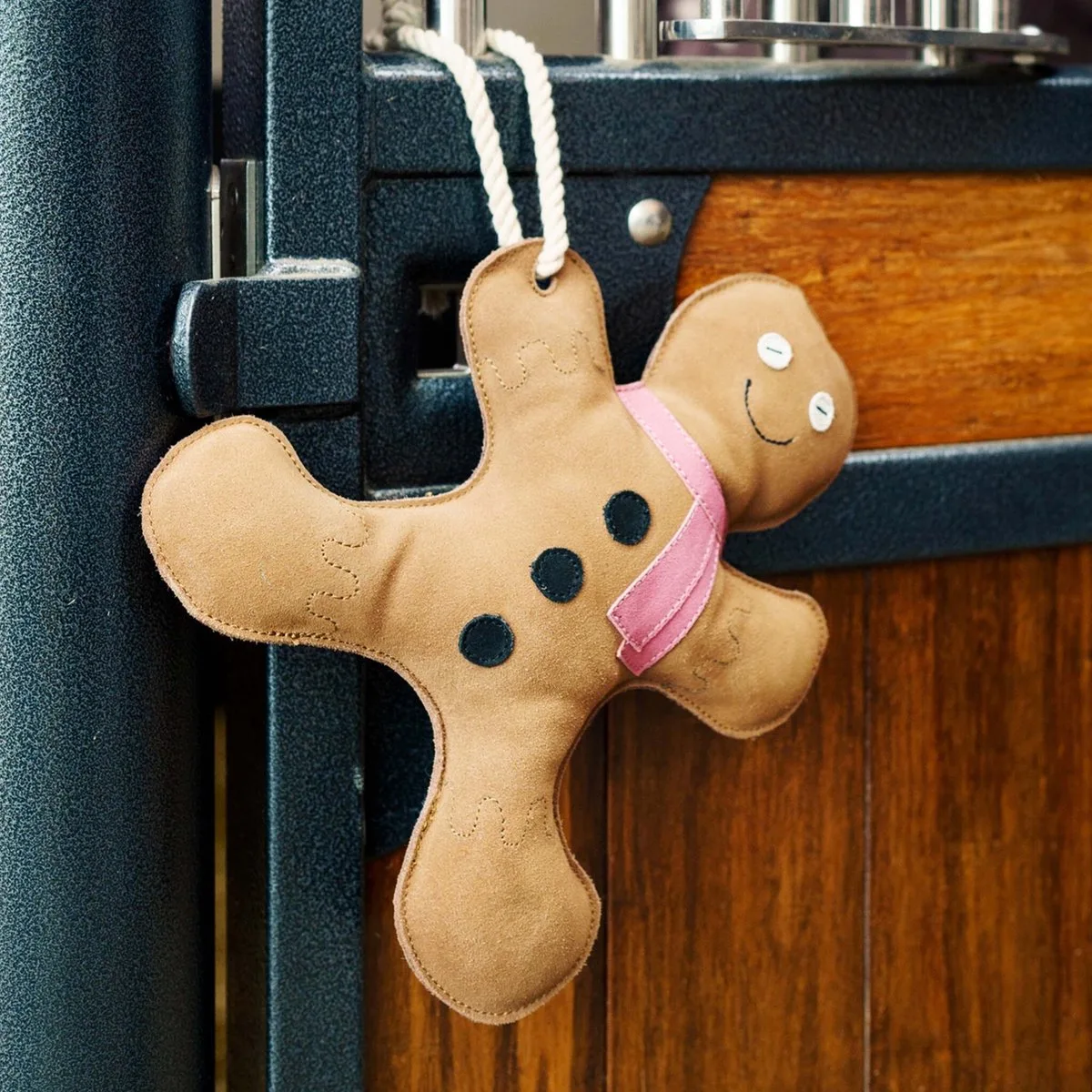 Stal Maatje - Gingerbread de Imperial Riding en Ginger bread – photo produit