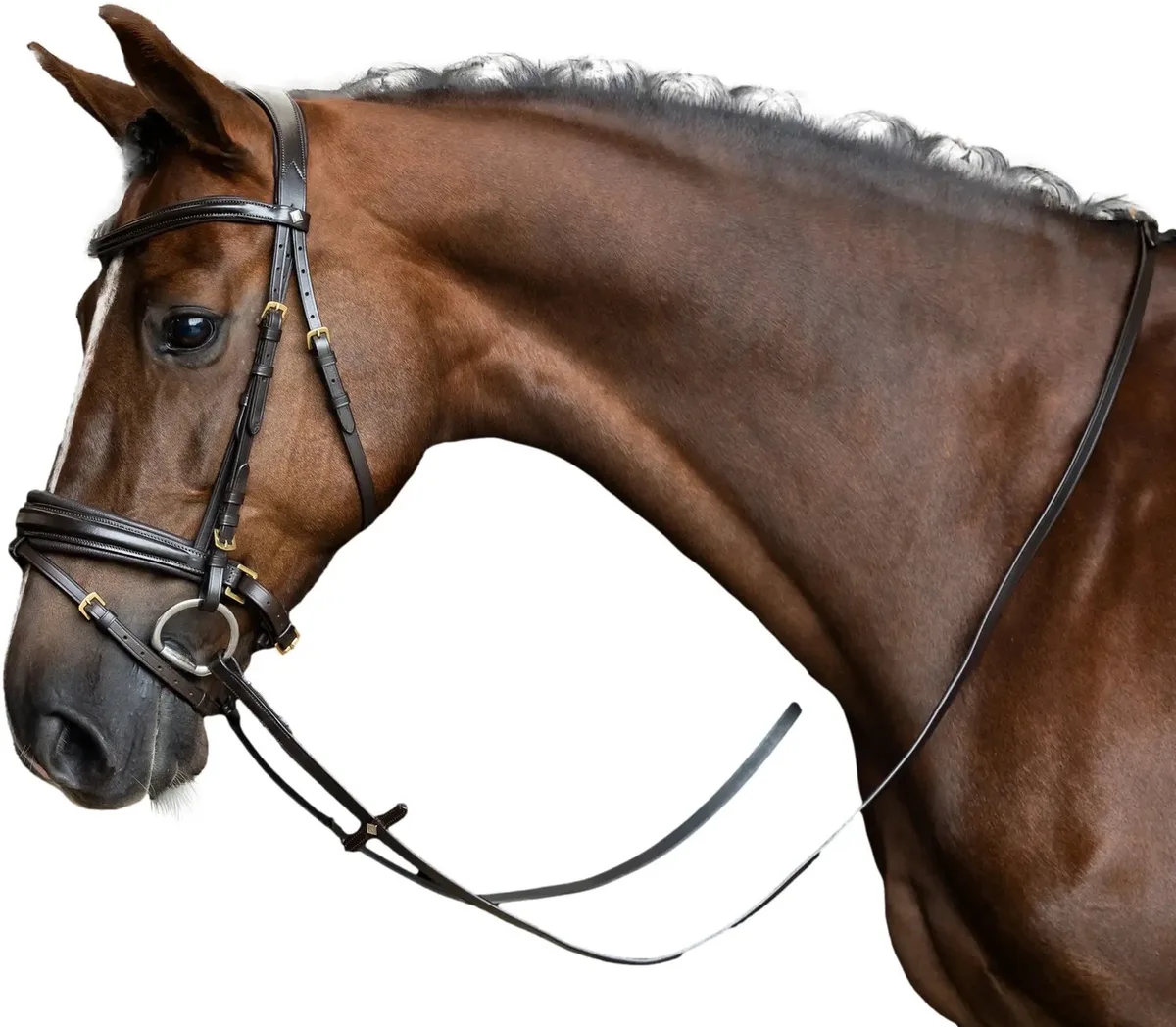 Teugels voor paarden Imperial Riding van Imperial Riding in Donkerbruin – productfoto