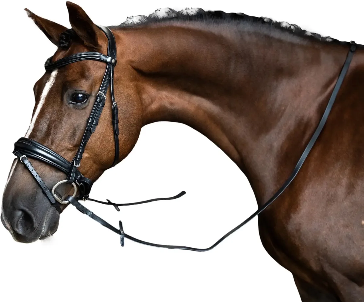 Teugels voor paarden Imperial Riding de Imperial Riding en Noir – photo produit