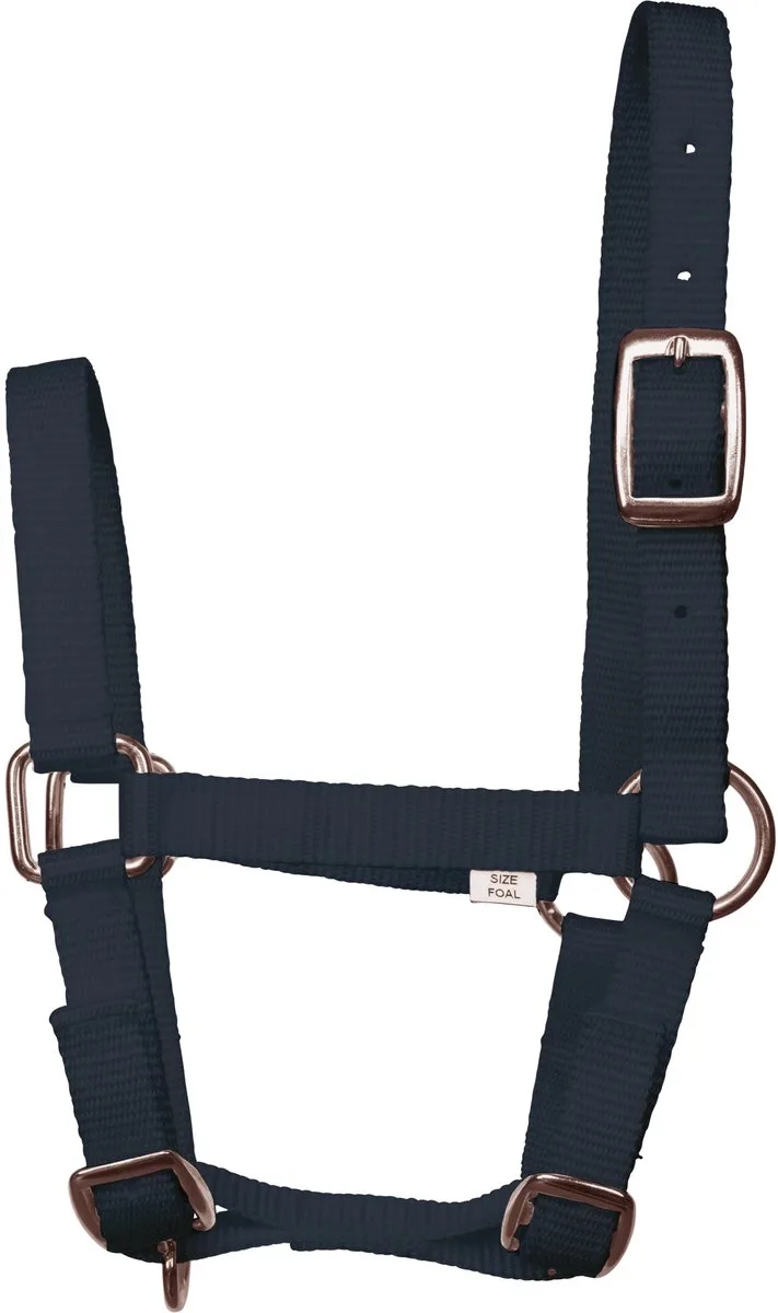 Veulenhalster - Navy by Imperial Riding in Dark blue – product photo