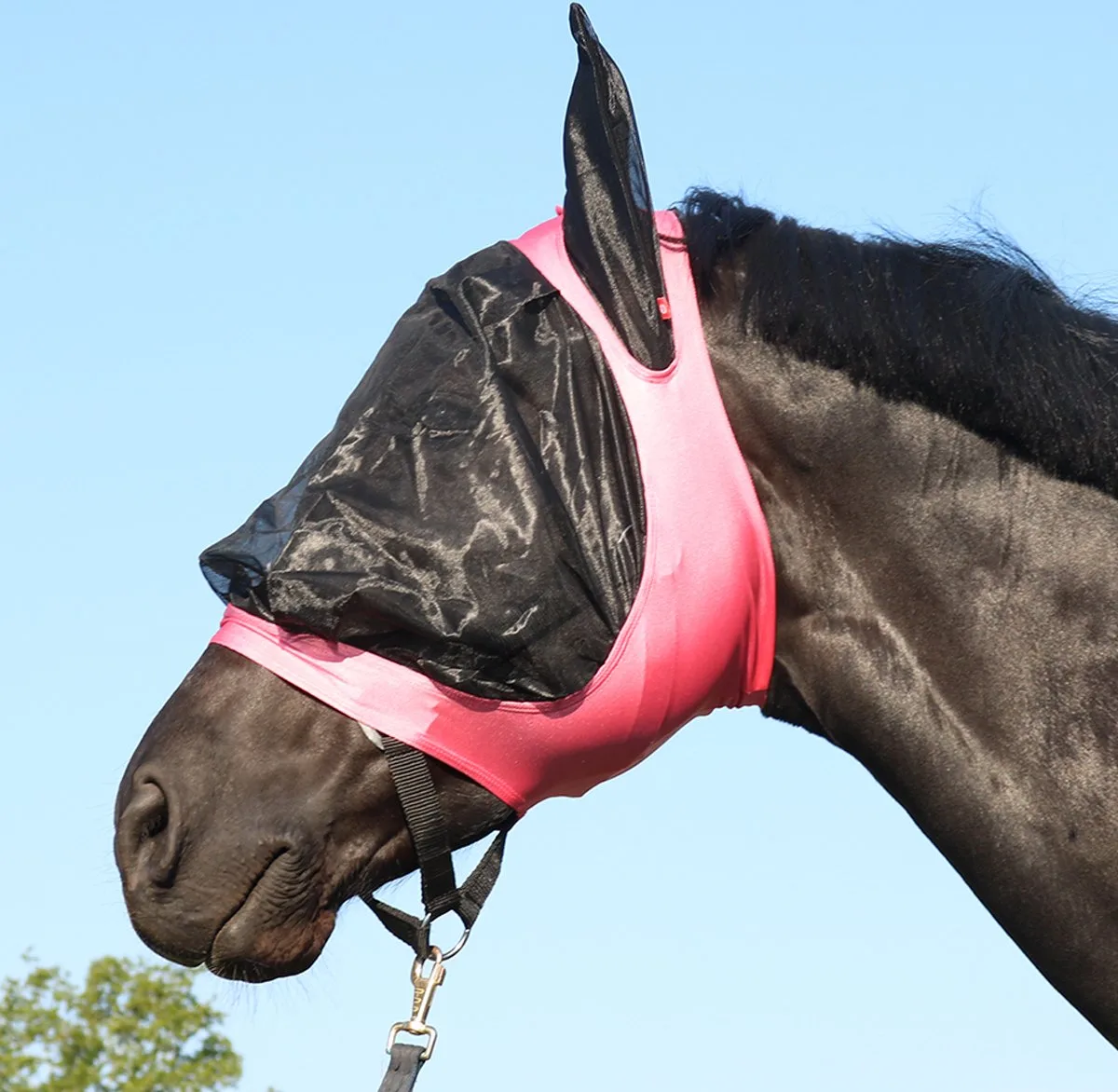 Vliegenmasker Careful von Imperial Riding in Schwarz – Produktfoto
