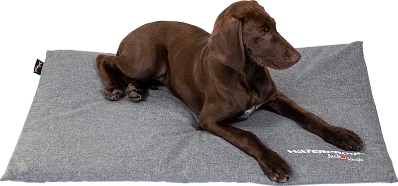 Bench Kussen Grijs - Waterproof - Maat L - 85x55cm by Jack and Vanilla in Light grey – product photo
