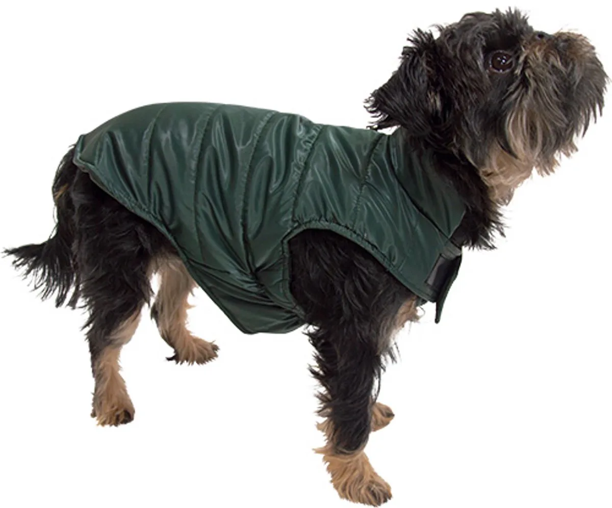 Dogwalk Hondenjas Puffer - Warm en Wasbaar - Kleur: - Maat XS - Ruglengte: 25 cm de Jack and Vanilla en Vert – photo produit