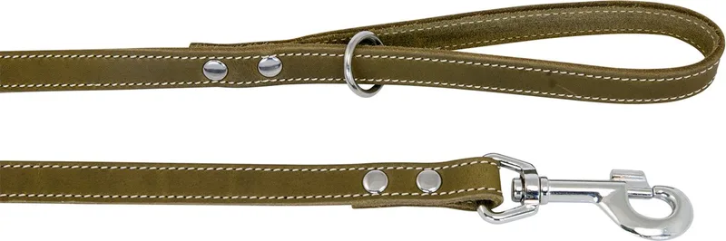 Gevet Lederen Hondenriem / Hondenlijn - Breedte 10 mm - Lengte 120 cm de Jack and Vanilla en Vert – photo produit