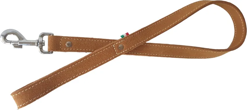 Gold Hondenriem / Hondenlijn - Leder - Breedte: 2,5 cm - Lengte: 100 cm de Jack and Vanilla en Marron – photo produit