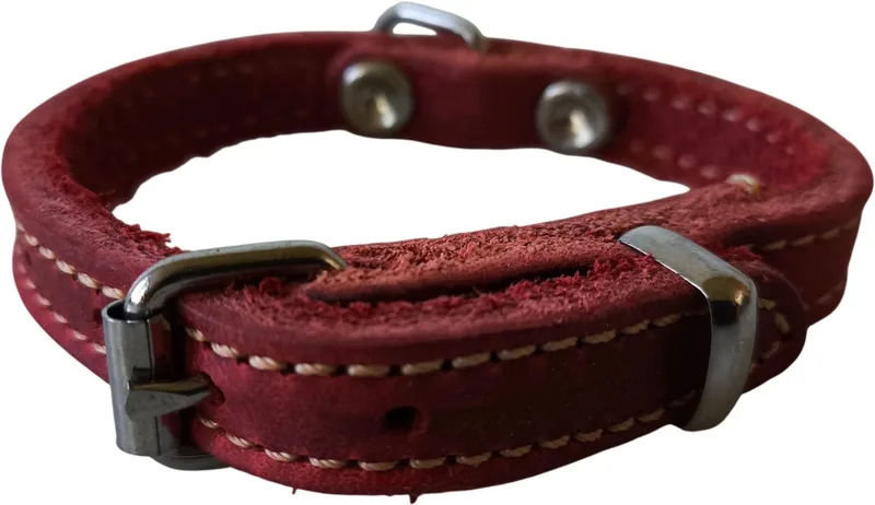 Halsband - Gevet Leder - Breedte: 1 cm - Nekomtrek: 17 - 20 cm (GELIEVE ALVORENS BESTELLEN OPMETEN) von Jack and Vanilla in Rot – Produktfoto