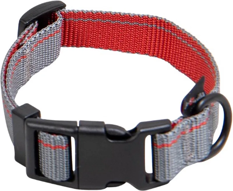 Halsband voor honden - Maat M - Verstelbaar 24 / 35 cm - Halsband puppy - Hondenhalsband - Halsband hond - Stripe - Nylon by Jack and Vanilla in Grey – product photo