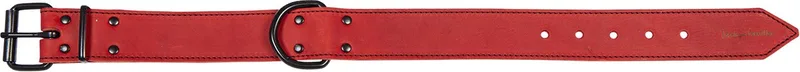 Halsbanden - Black Label Brede Halsband - 30mmx40cm 45/8022 - 177759 de Jack and Vanilla en Rouge – photo produit