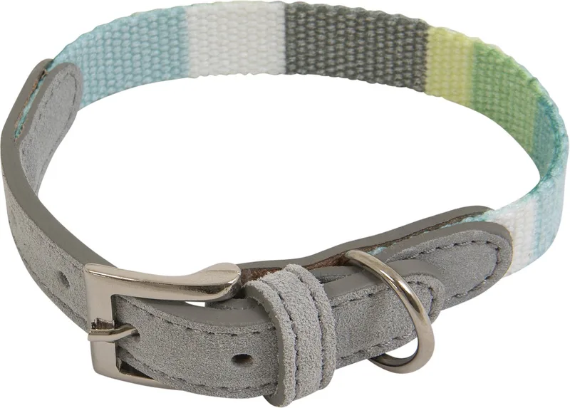 Halsbanden - Ibiza Halsband - 20mmx35cm Ibico6035 - 178064 de Jack and Vanilla en Vert – photo produit