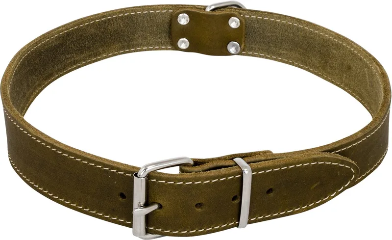 Halsbanden - Jv Vetleder Halsband Groen-30mmx75cm 45/7509 - 229001 de Jack and Vanilla en Vert – photo produit