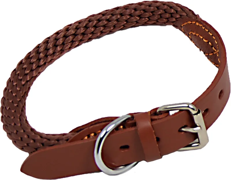 Halsbanden - Jv Walkabout Halsband Bruin-15mmx50cm 45/9101 - 228670 de Jack and Vanilla en Marron – photo produit