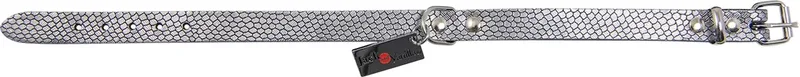 Halsbanden - Monaco Halsband Snake - Zilver - 16mmx40cm 45/5204 - 183764 von Jack and Vanilla in Snake Zilver – Produktfoto