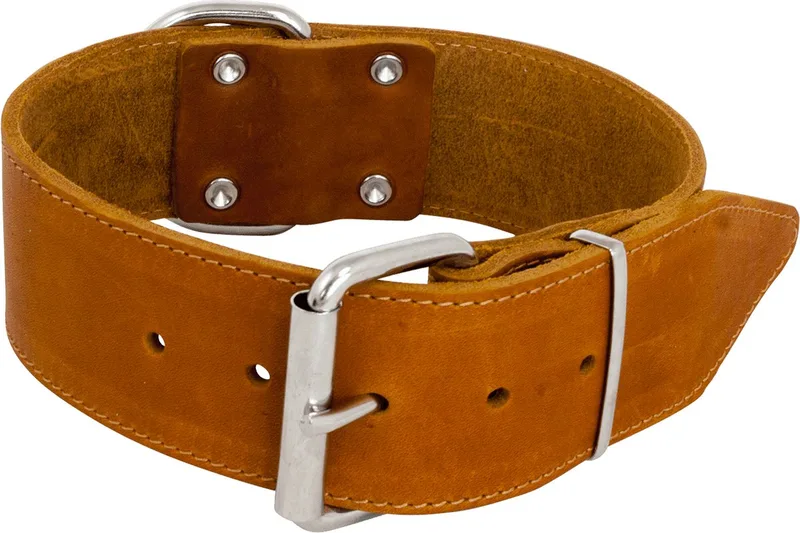 Halsbanden - Vetleder Brede Halsband - 50mmx60cm 45/7214 - 177700 de Jack and Vanilla en Cognac – photo produit