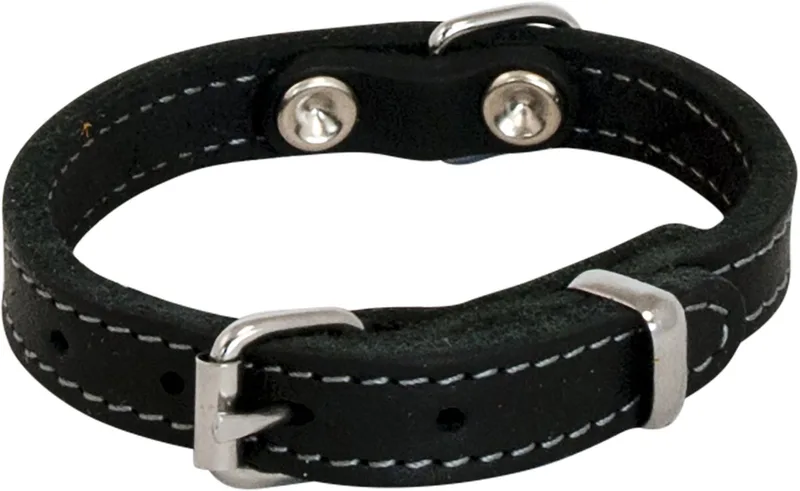 Halsbanden - Vetleder Halsband - 10mmx25cm 45/7110 - 177552 von Jack and Vanilla in Schwarz – Produktfoto
