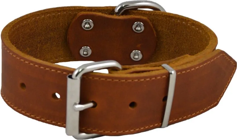 Halsbanden - Vetleder Halsband - 12mmx30cm 45/7211 - 175608 de Jack and Vanilla en Cognac – photo produit