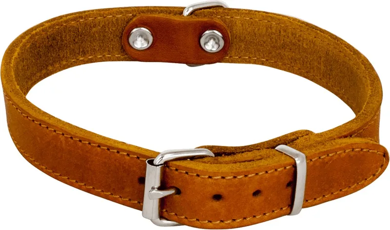 Halsbanden - Vetleder Halsband - 14mmx35cm 45/7201 - 176263 von Jack and Vanilla in Cognac – Produktfoto