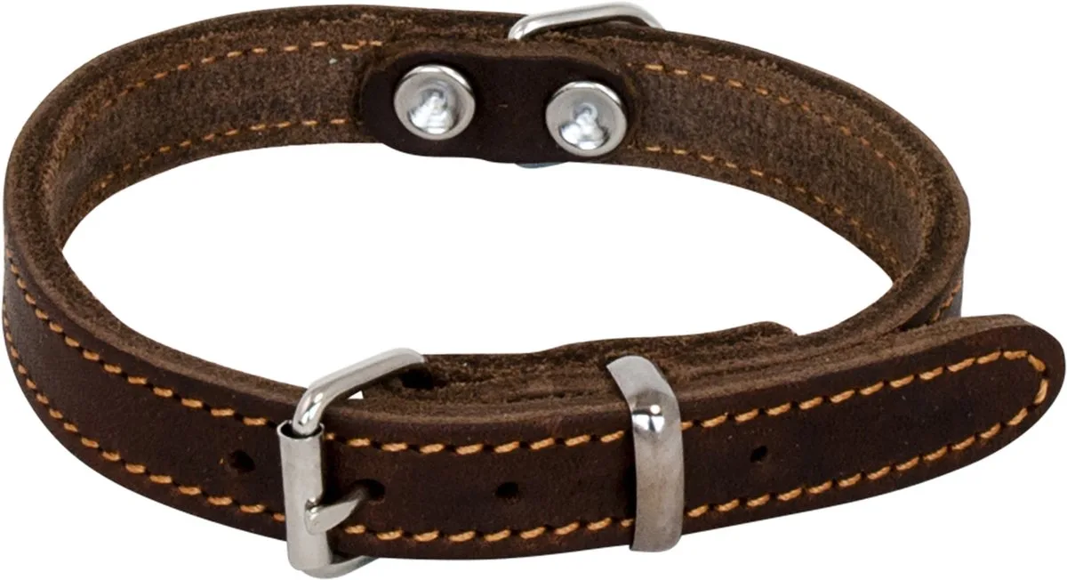 Halsbanden - Vetleder Halsband - 25mmx55cm 45/7005 - 177400 by Jack and Vanilla in Brown – product photo