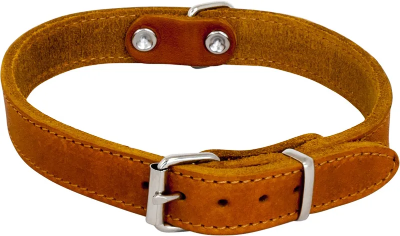 Halsbanden - Vetleder Halsband - 30mmx60cm 45/7206 - 177455 de Jack and Vanilla en Cognac – photo produit