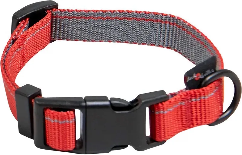 Honden halsband met kliksluiting - Maat M - Verstelbaar 24 / 35 cm - Nylon halsband hond - Stripe by Jack and Vanilla in Red – product photo