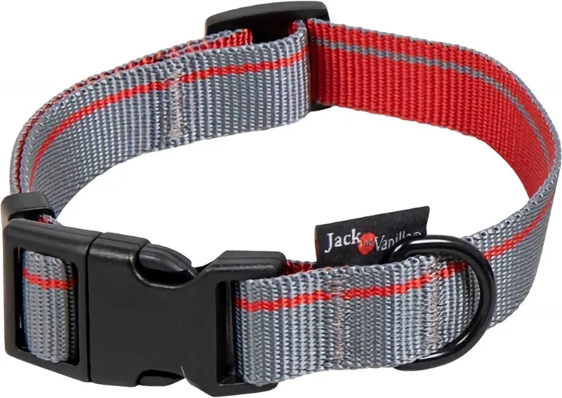 Hondenhalsband - Maat L - Verstelbaar 31-47 cm - Halsband Hond - Kliksluiting - Polyester - Stripe - Grijs/Rood von Jack and Vanilla in Grau – Produktfoto