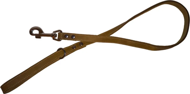 Hondenriem / Uitlaatriem (46/7207) - Gevet Leder - Breedte: 1,6 cm - Lengte: 100 cm - Geschikt voor middelgrote hondenrassen by Jack and Vanilla in Green – product photo