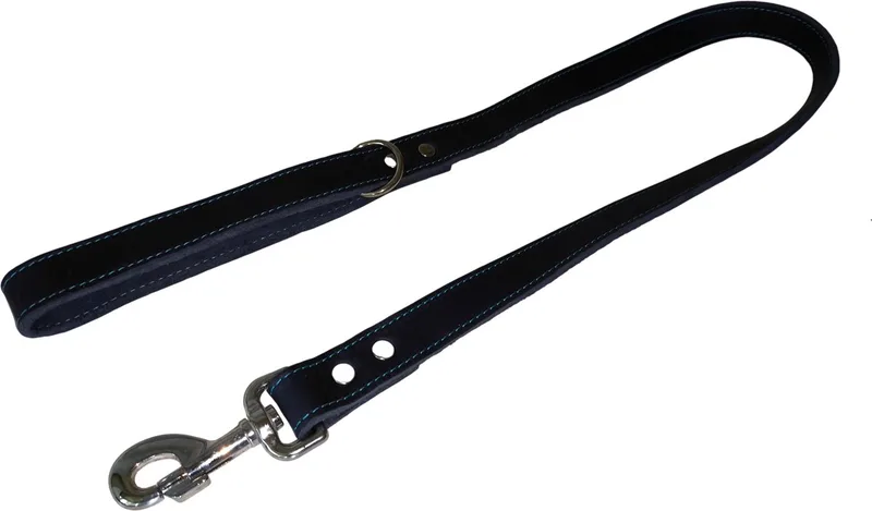 Hondenriem / Uitlaatriem - Vetleder - Breedte: 2,5 cm - Lengte: 100 cm - Geschikt voor grote tot hele grote honden by Jack and Vanilla in Blue – product photo