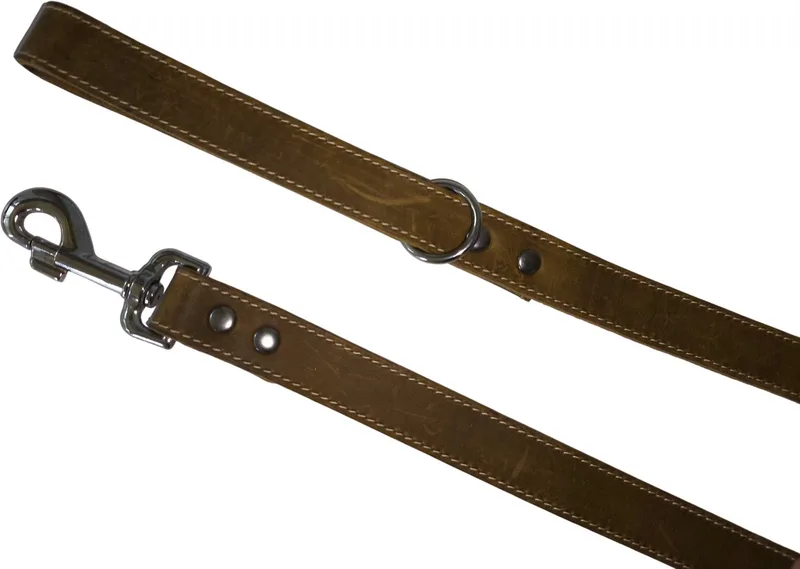Hondenriem / Uitlaatriem - Vetleder - Breedte: 2,5 cm - Lengte: 100 cm - Geschikt voor grote tot hele grote honden de Jack and Vanilla en Vert – photo produit