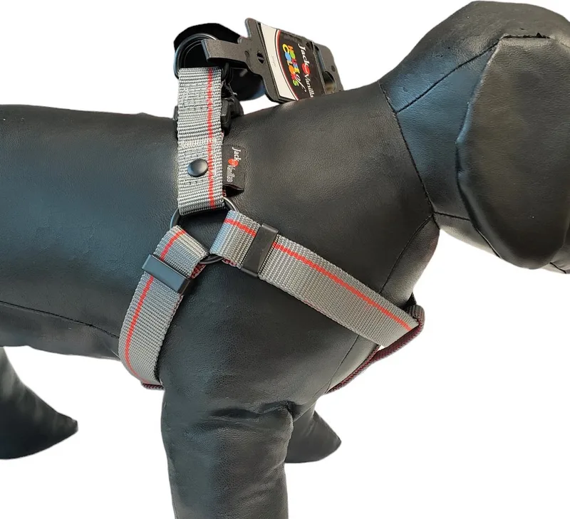 Hondentuig - Hondentuigje - Y tuig hond - Stripe - L by Jack and Vanilla in Grey – product photo