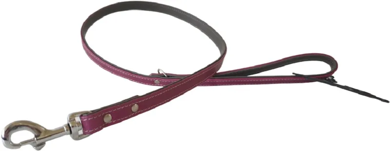 Nappa Hondenriem / Hondenlijn - Nappa leder - Breedte 1,4 cm - Lengte 100 cm - Bordeauxrood / Grijs - Geschikt voor middelgrote honden de Jack and Vanilla en Bordeauxrood, Gris – photo produit