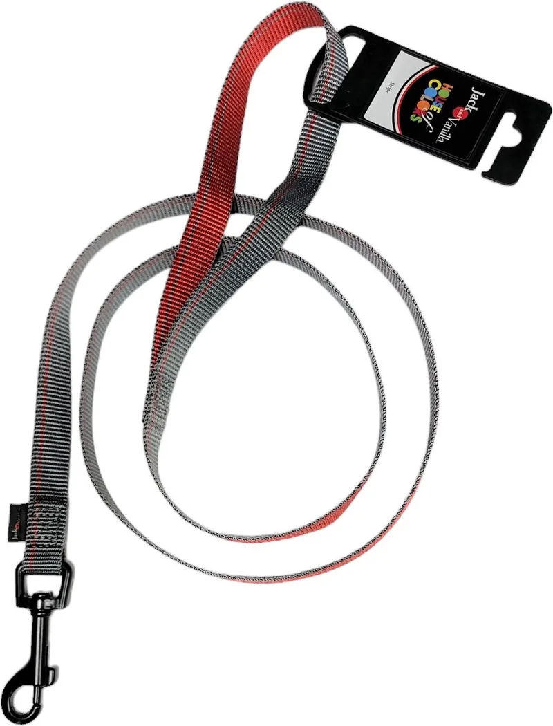 Nylon Hondenriem - Maat L - Lengte 120 cm - Honden riem - Hondenriem - Grijs fra Jack and Vanilla i Rød – produktbillede