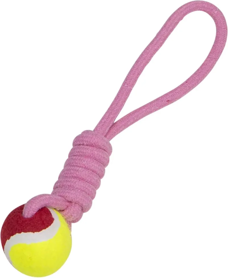 Speeltouw voor honden - Honden speeltouw met bal - Hondentouw met bal - Touw met hondenbal de Jack and Vanilla en Rose – photo produit