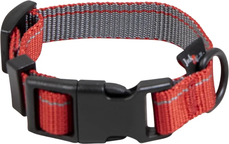 Stripe Hondenhalsband - Maat S - 18-26 cm fra Jack and Vanilla i Rød – produktbillede
