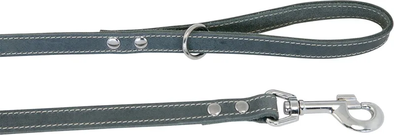 Vetlederen Hondenriem / Hondenlijn - Breedte: 1,6 cm - Lengte: 100 cm - Geschikt voor middelgrote hondenrassen de Jack and Vanilla en Gris – photo produit