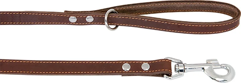 Vetlederen Hondenriem / Hondenlijn - Breedte 16 mm - Lengte 100 cm de Jack and Vanilla en Marron – photo produit