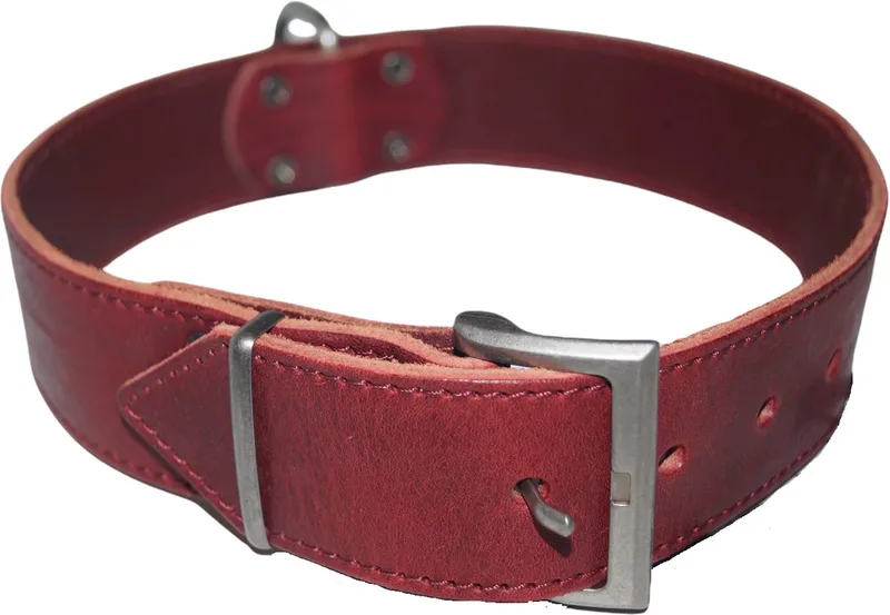 Vintage Hondenhalsband / Halsband - Italiaans Rundleder - Wijnrood - Breedte: 4 cm - Nekomtrek: 46 - 55 cm (GELIEVE ALVORENS BESTELLEN OPMETEN) by Jack and Vanilla in Wijnrood (verweerd) – product photo
