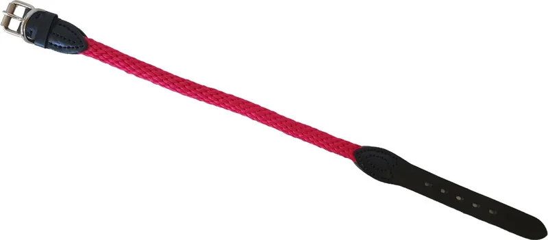 Walkabout Halsband - Nylon - Diameter: 15 mm - Nekomtrek: 46 - 53 cm (GELIEVE ALVORENS BESTELLEN OPMETEN) von Jack and Vanilla in Rot – Produktfoto