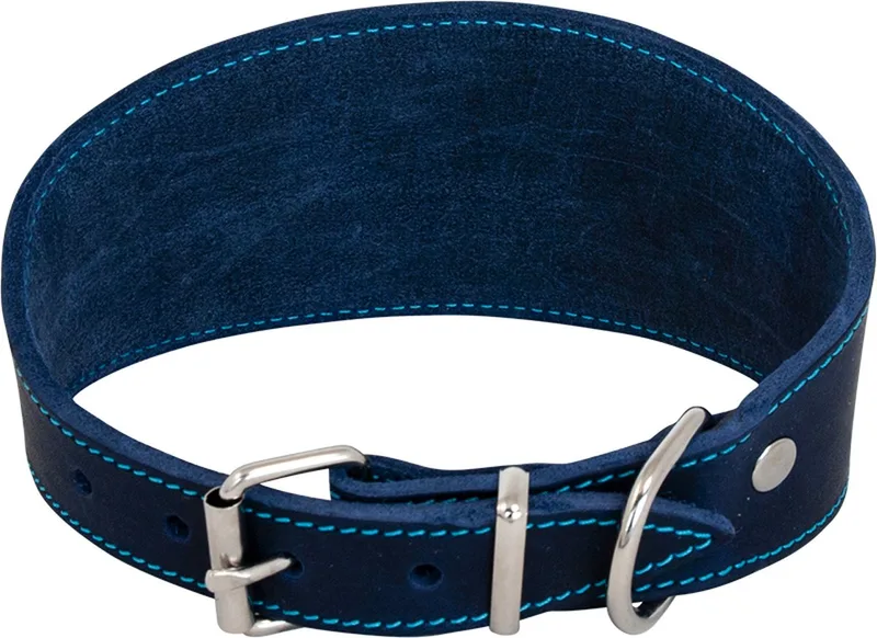 windhond halsband vetleder timeless nek 26-30 cm von Jack and Vanilla in Blau – Produktfoto