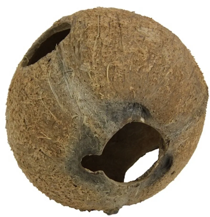 Cocos Cava L natuurlijke kokosnoot schuilplaats voor aquarium en terrariumdieren 1/1 by JBL – product photo