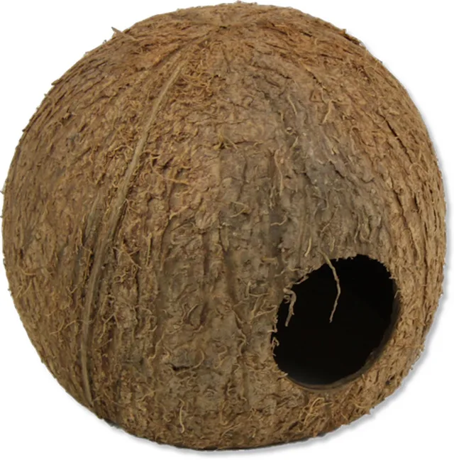 Cocos Cava L natuurlijke kokosnoot schuilplaats voor aquarium en terrariumdieren 3/4