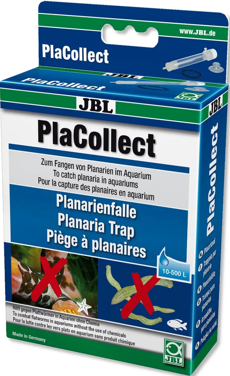 Placollect von JBL in Bekijk productafbeelding – Produktfoto