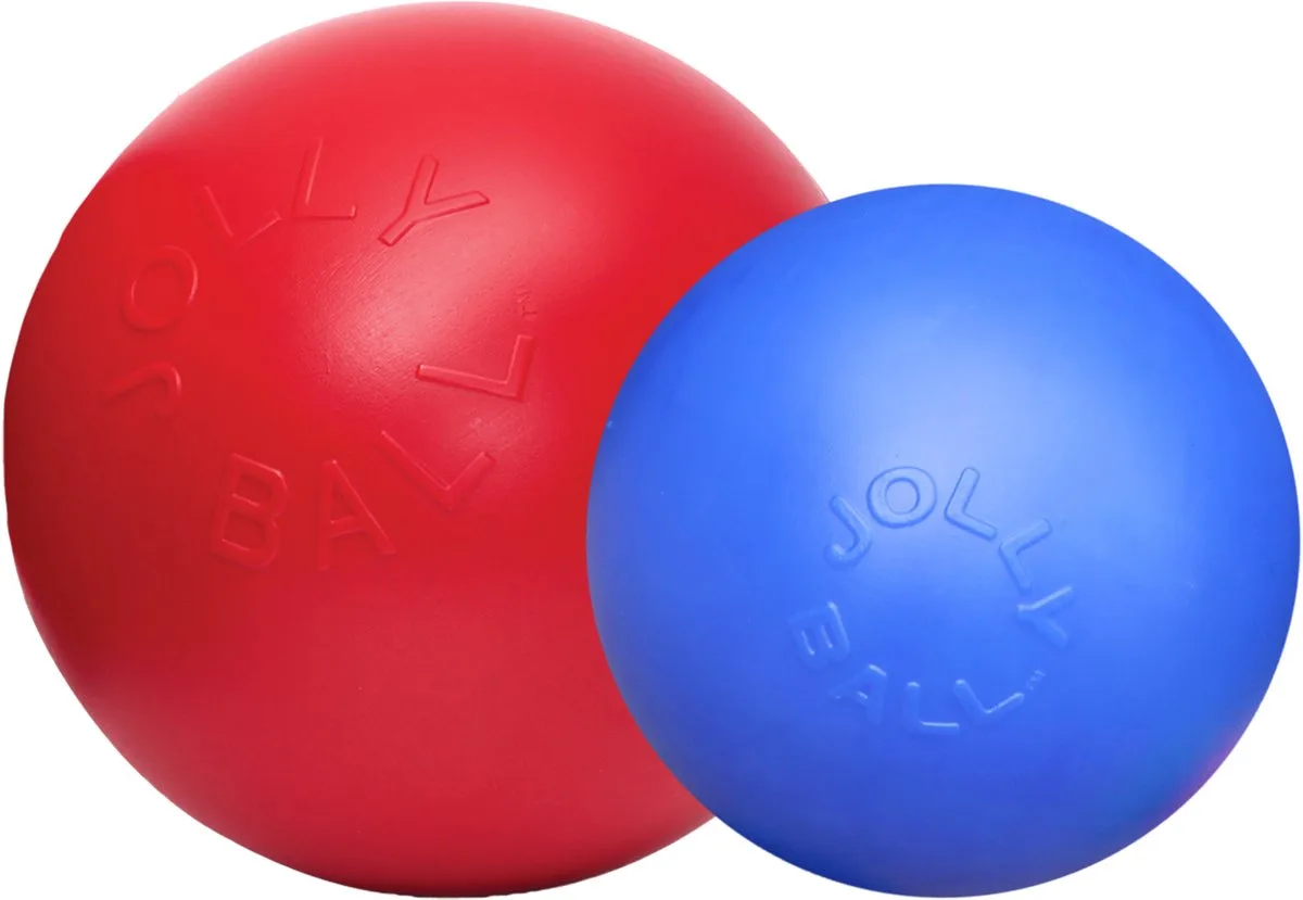 Jolly Ball Push-n Play Ø 25 cm - Hondenspeelgoed - Duurzame hondenbal – Hondenspeeltjes - Geschikt voor wilde honden - Blauw van Jolly Pets in Blauw – 25 cm – productfoto