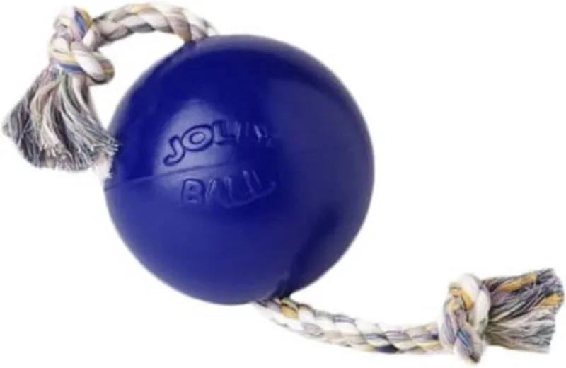 Jolly Ball Romp-n-Roll - Honden speelbal met frisse geur - Hondenspeelgoed met stevig trektouw - Ø 10 cm de Jolly Pets en Bleu – photo produit