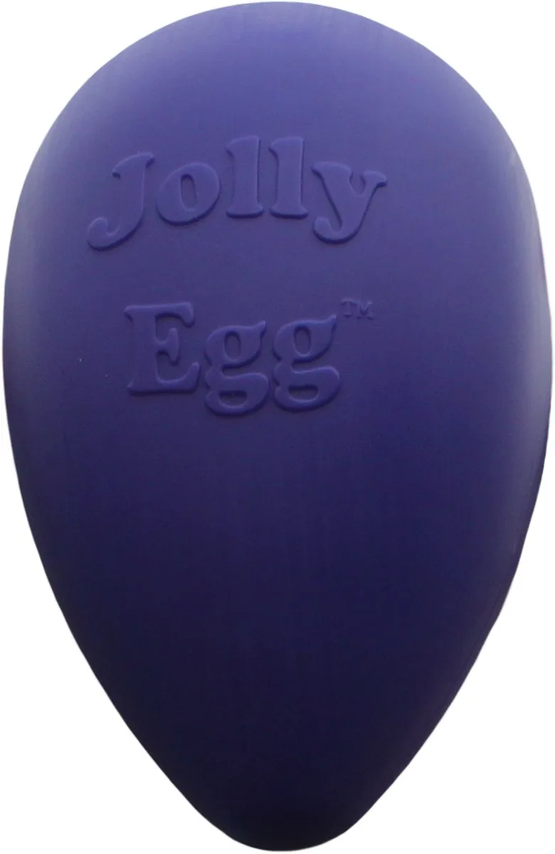 Jolly Egg Ø 30 cm - Kunststof Hondenspeelgoed – Stevige hondenbal – Geschikt voor de grote hond – Hondenspeeltjes – Weerbestendig by Jolly Pets in Purple – product photo