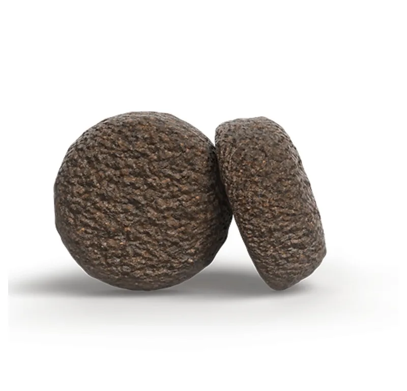 Salmon/Potato - all sizes adult - hondenvoer - 12,5 kg von Josera – Produktfoto 4 von 4