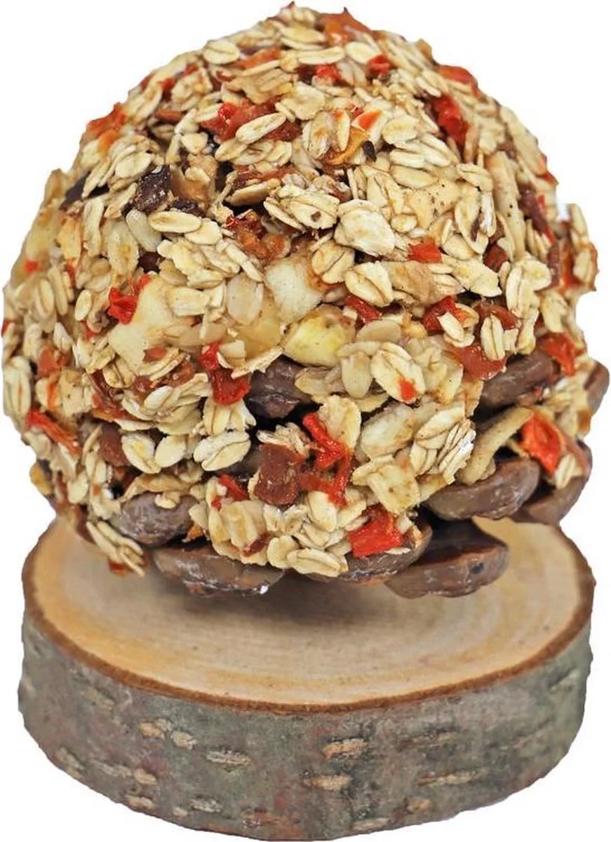 Fruitboom van JR Farm – productfoto