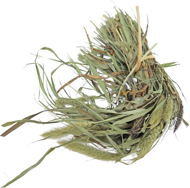 Senegal Gierst - Vogelvoer - 13x5x33 cm 50 g de JR Farm – photo produit