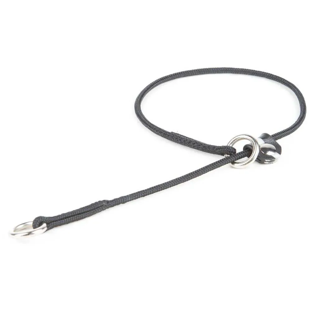 Collar 3.5 Mm Hundhalsband de Julius-K9 – photo produit