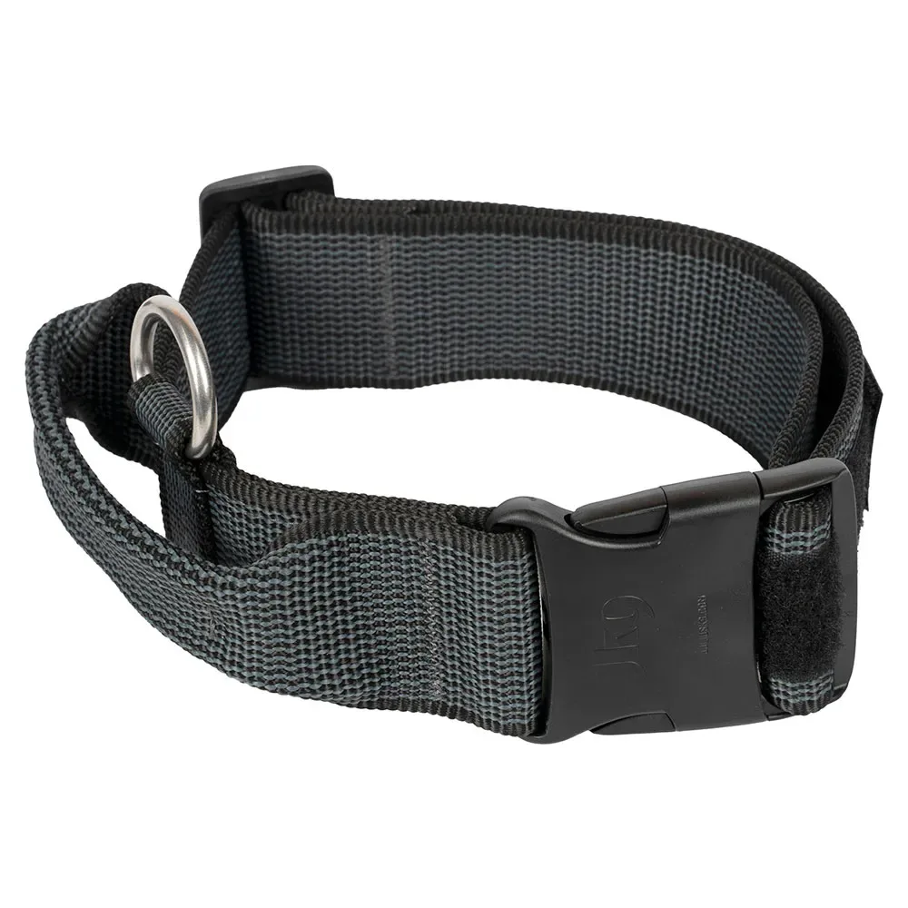 Collar 40 Mm Hondenhalsband från Julius-K9 – produktbild