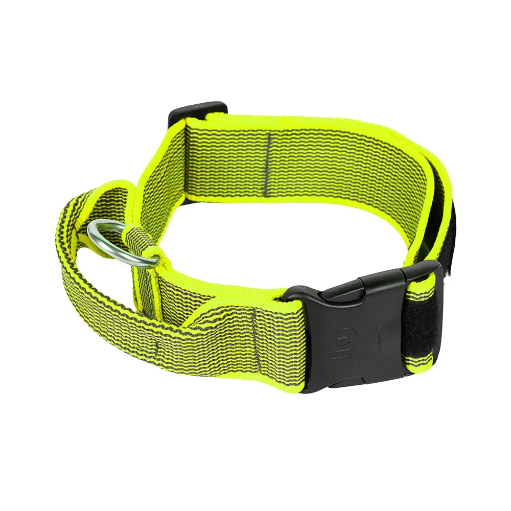 Collar 40 Mm Hondenhalsband fra Julius-K9 – produktbillede