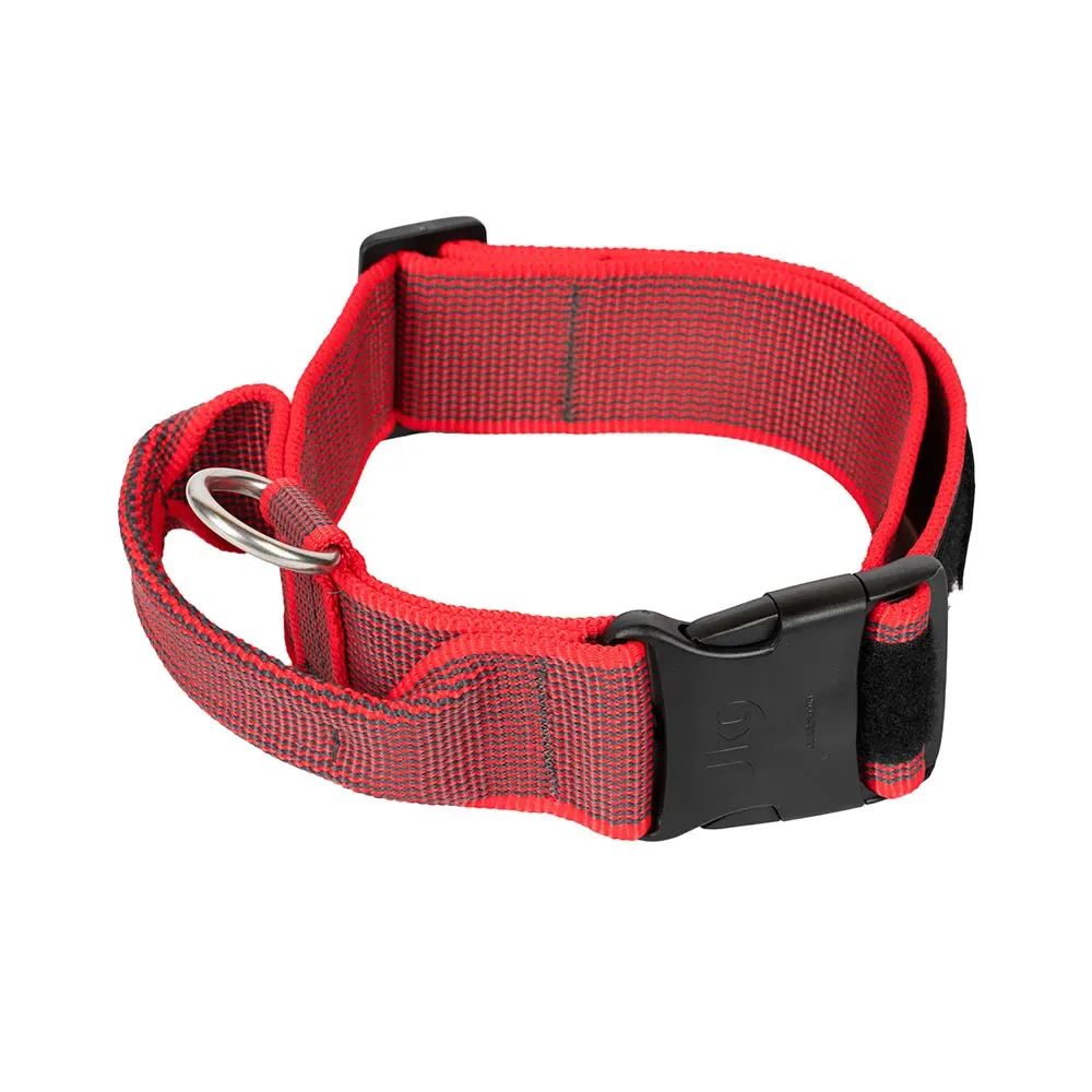 Collar 40 Mm Hondenhalsband från Julius-K9 – produktbild